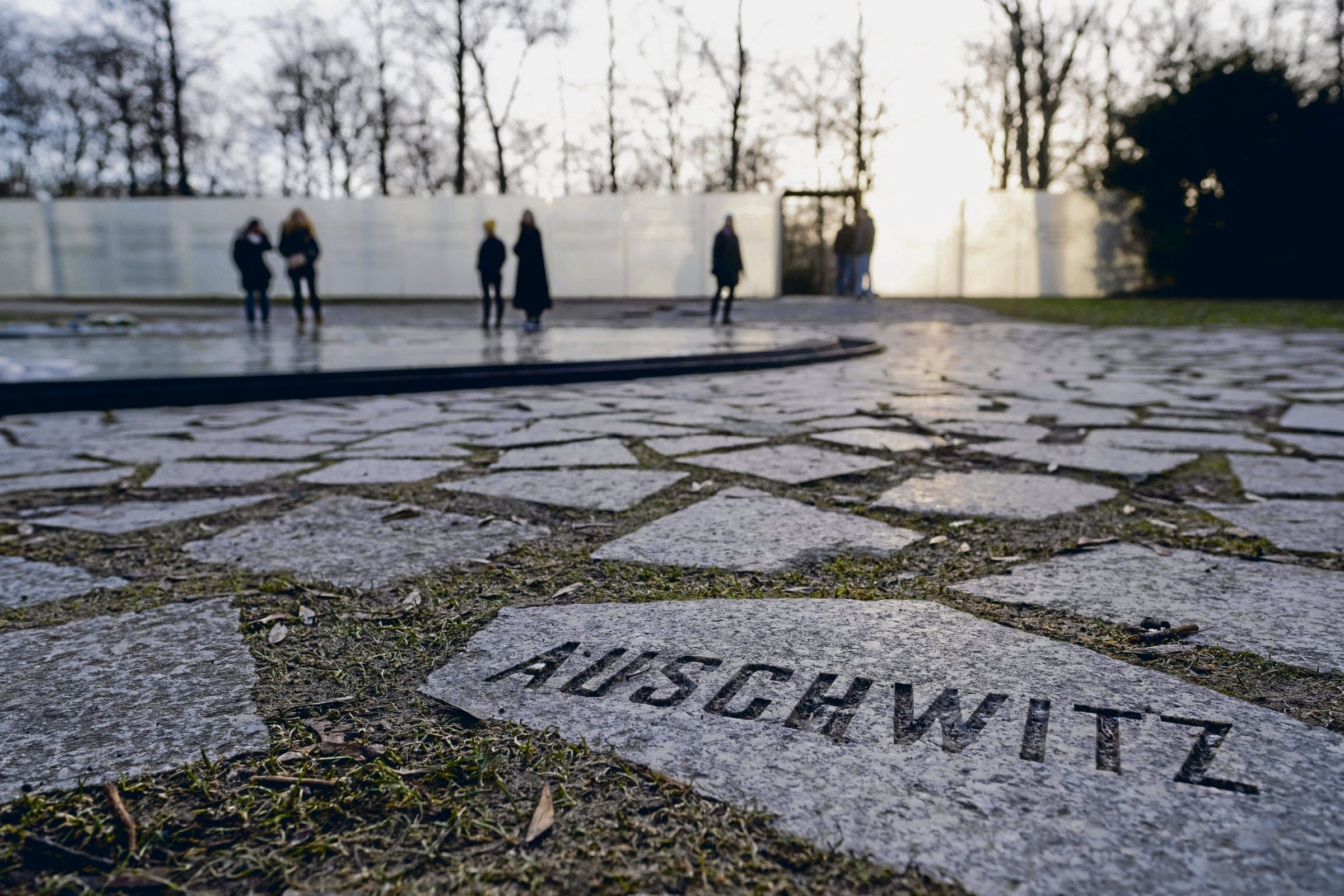 Auschwitz, der finale Akt des NS-Antiziganismus: das Mahnmal für die ermordeten Sinti und Roma in Berlin