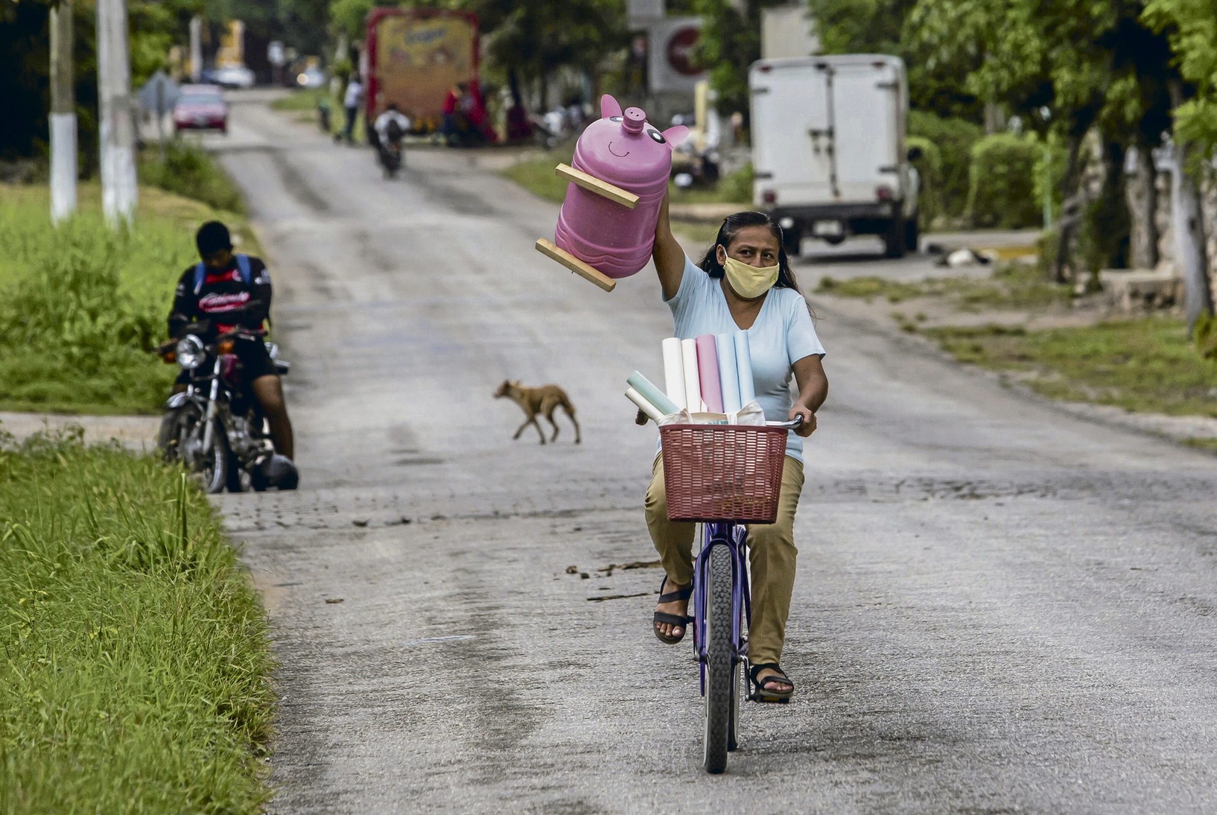 In vielen Dörfern protestieren Bewohner*innen gegen die Massentierhaltung in Yucatán.