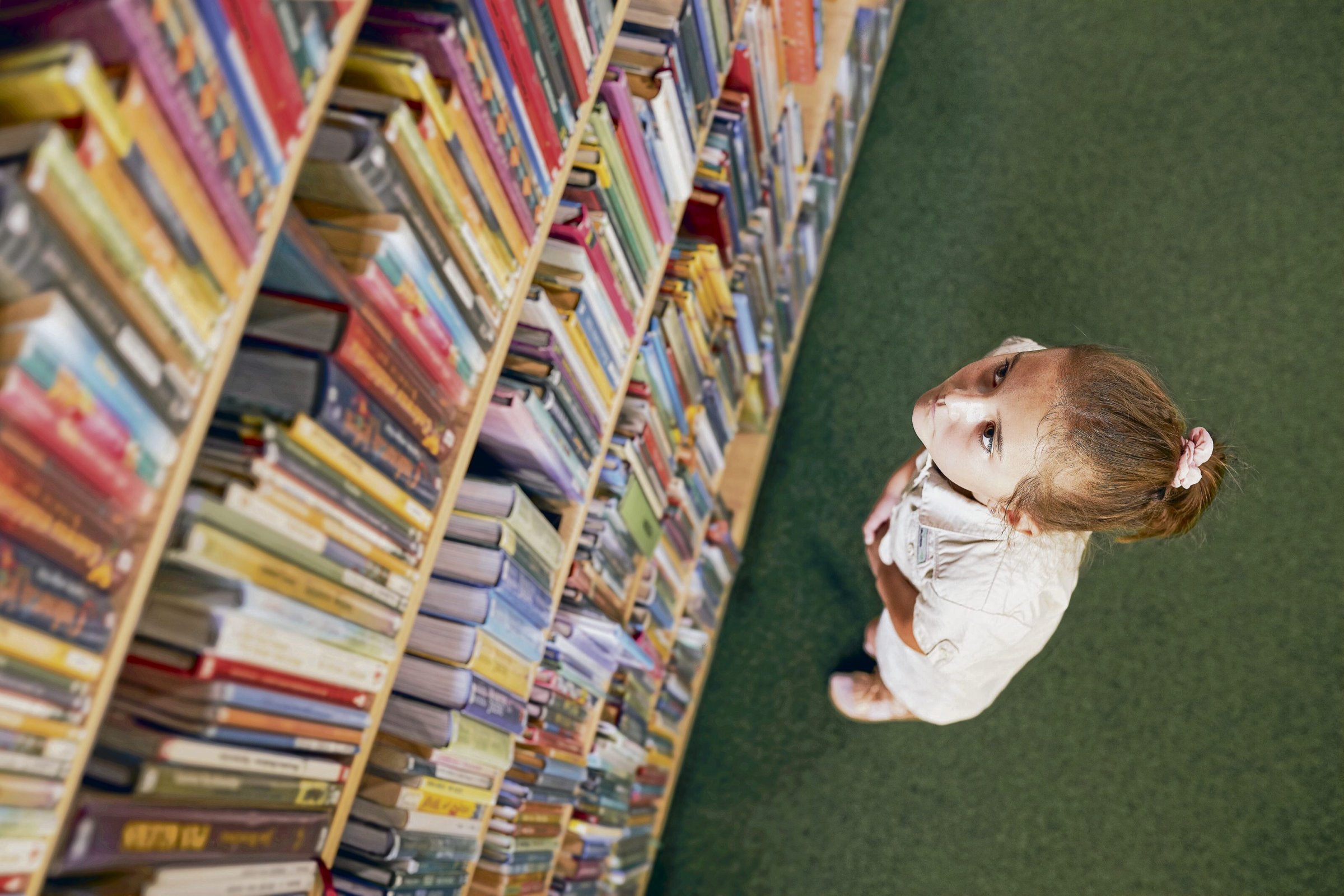 Ein Regal voller Bücher: Für nicht wenige Menschen in Deutschland ein eher bedrohliches Szenario