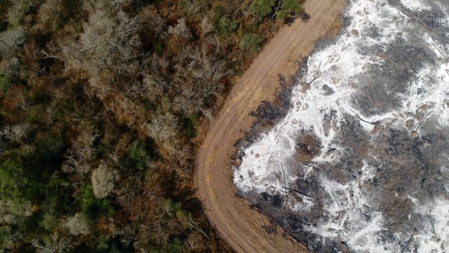 Eine nach Brandrodung mit Asche bedeckte Fläche ist nur durch eine Straße von einem bestehenden Wald getrennt. Der Wald auch in Argentinien sollte durch neue Gesetze besser geschützt sein.