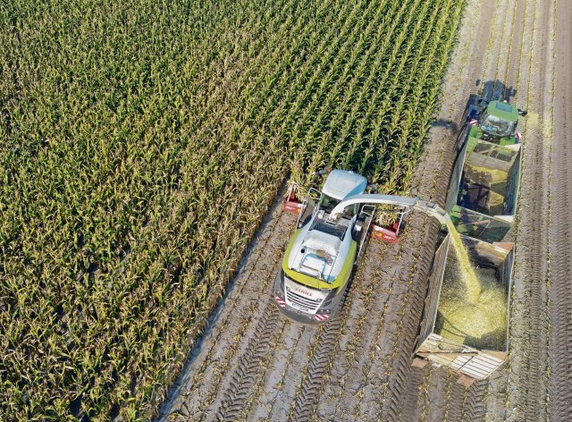 Auf einem Feld der Agrargenossenschaft Vorspreewald im Kreis Spree-Neiße wird Mais gehäckselt.