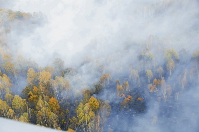 Waldbrände wie hier in Russland führen auch zu erhöhter Feinstaubbelastung.