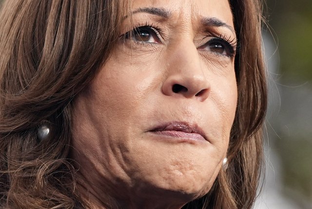 War zwar nicht weiß, aber stand doch für eine Politik im Sinne der ökonomischen Eliten: die demokratische Kandidatin Kamala Harris