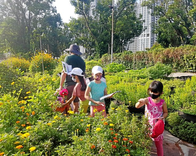 Schulgarten par excellence: Kinder gärtnern in der Edible Garden City.