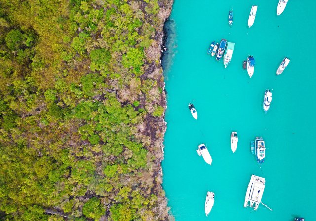 Galápagos &ndash; Auf Augenhöhe mit der Tierwelt