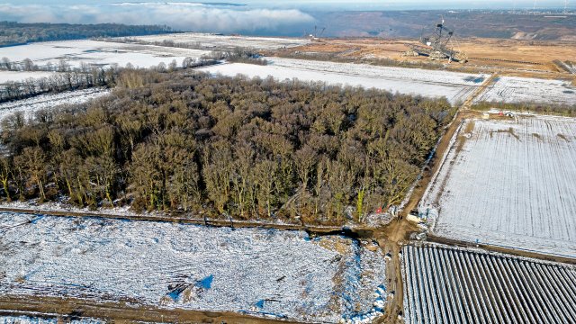 Die kleine Mahnwache vor dem ebenfalls kleinen Wäldchen am riesigen Tagebau.