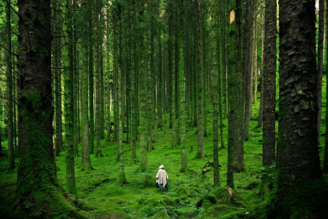 Am liebsten war sie allein im Wald und dachte über den Untergang des Abendlandes nach.